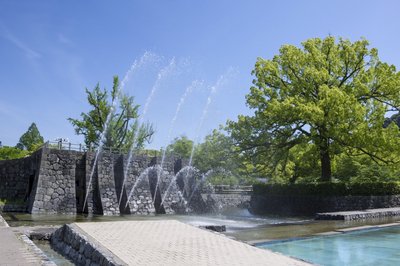 🌳 깃코 공원 이미지 2